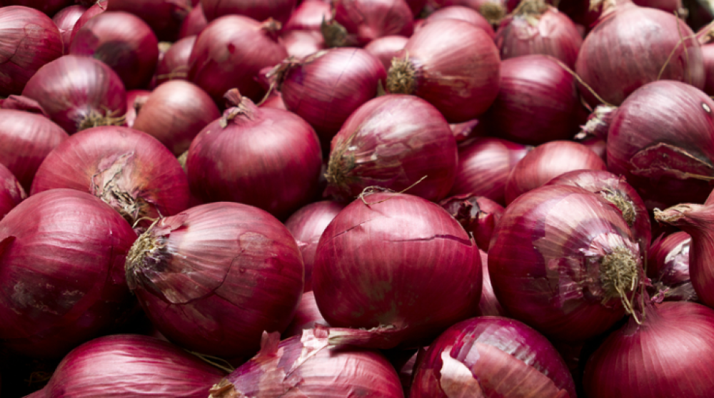 Onion