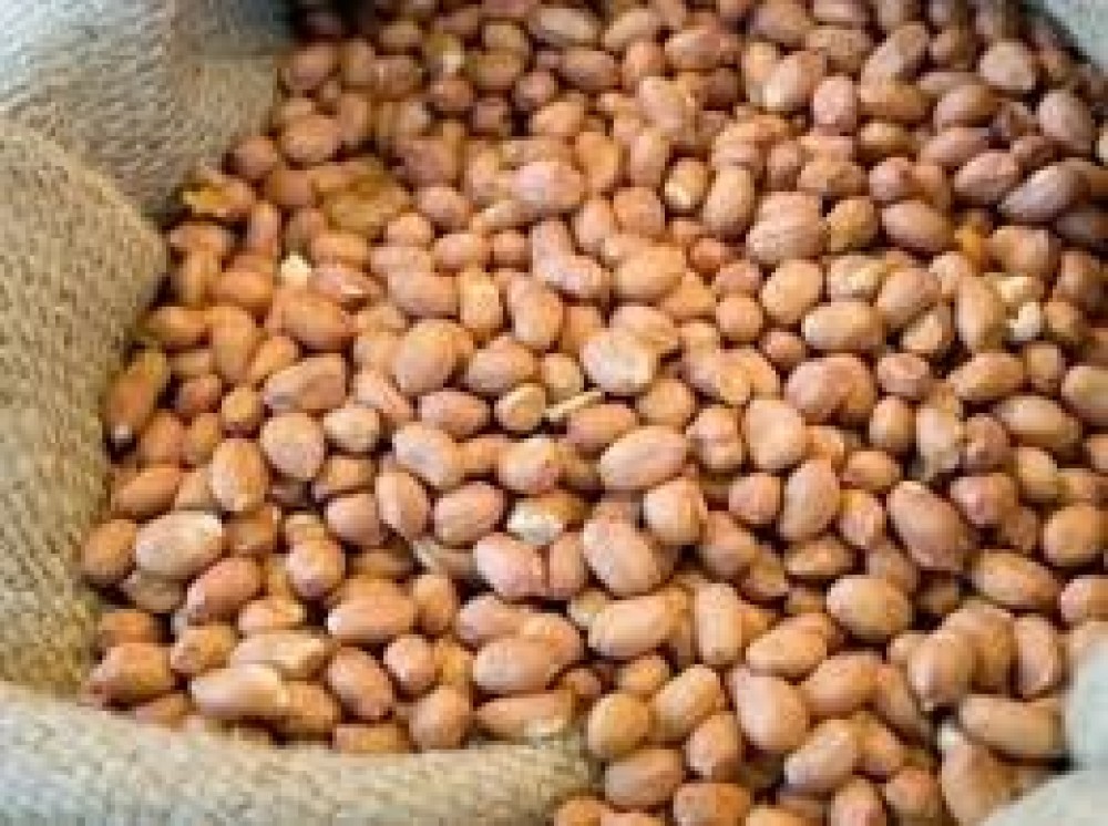 Ground Nuts in Whole Sale 40 kgs